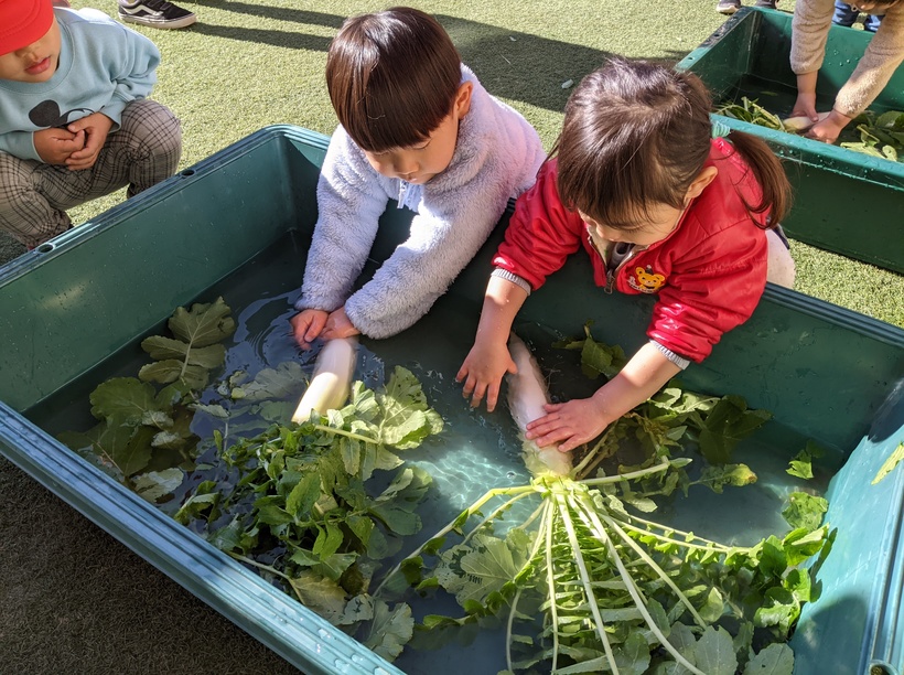 中途採用セミナー開催中